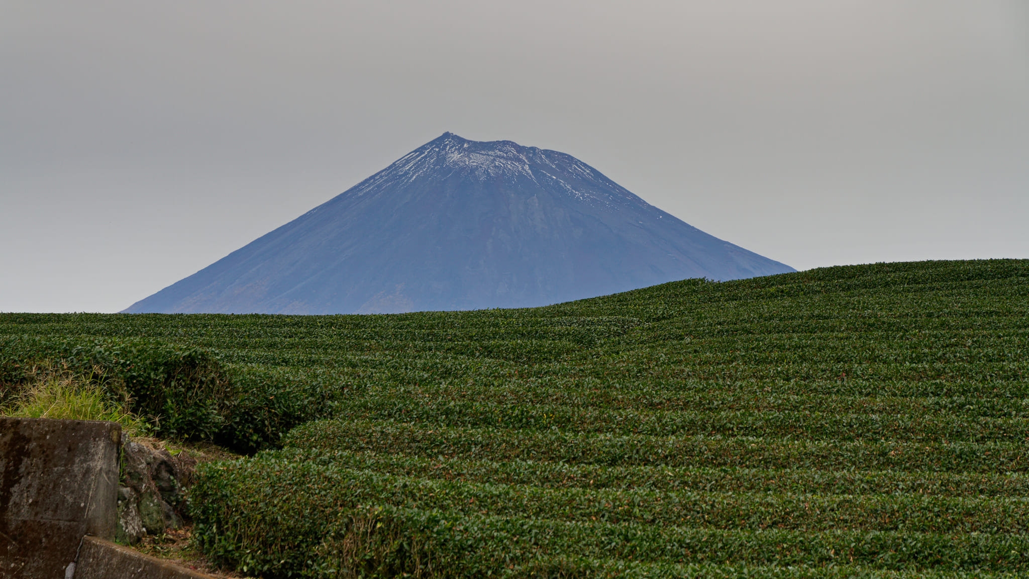 03-Mt Fuji (34) Obuchi Sasaba.jpg